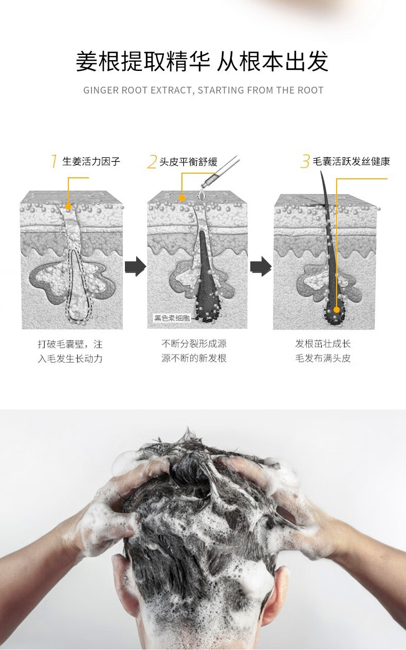 洗發(fā)水品牌