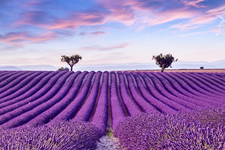 男士控油新選擇，沛得洗護(hù)品牌，加盟共享行業(yè)商機(jī)